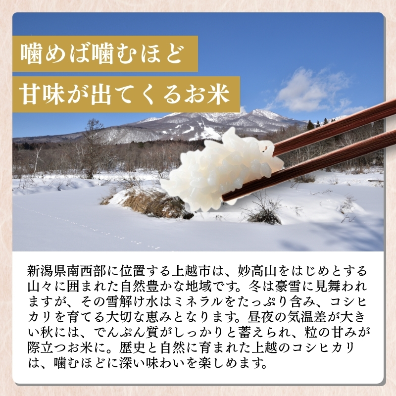 【4月中旬配送】上越市産 新潟 コシヒカリ 5kg こしひかり お米 精米 米 ご飯