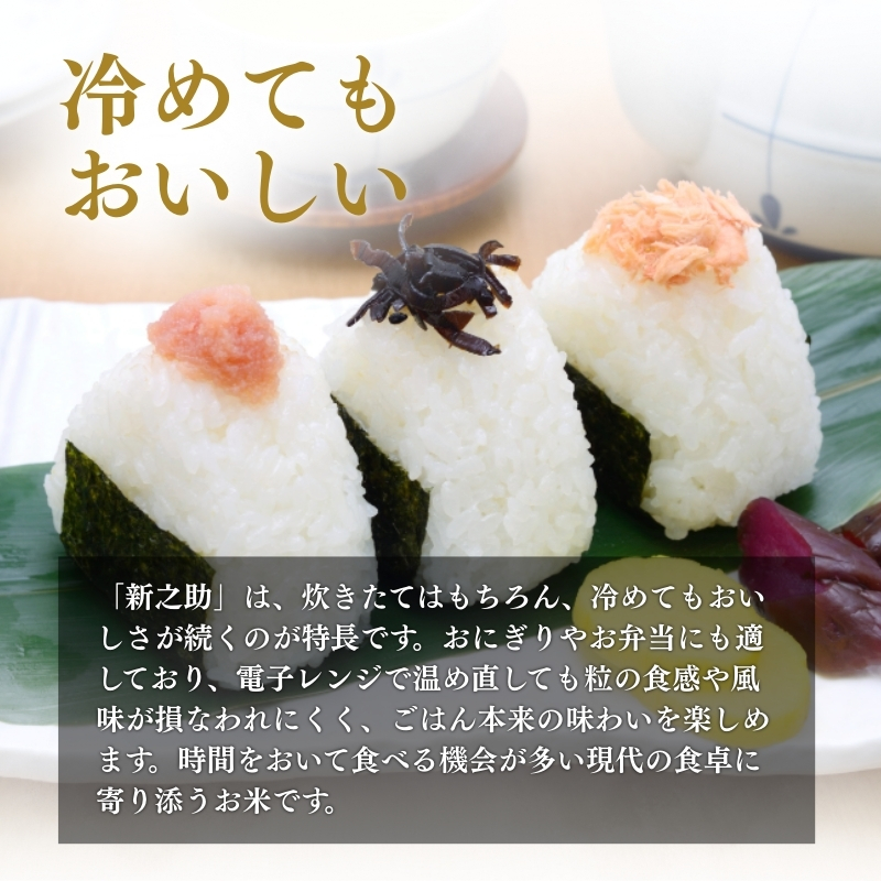 【7月上旬より配送】上越市産 新潟 新之助 2kg 3か月定期便 しんのすけ お米 精米 米 ご飯 定期