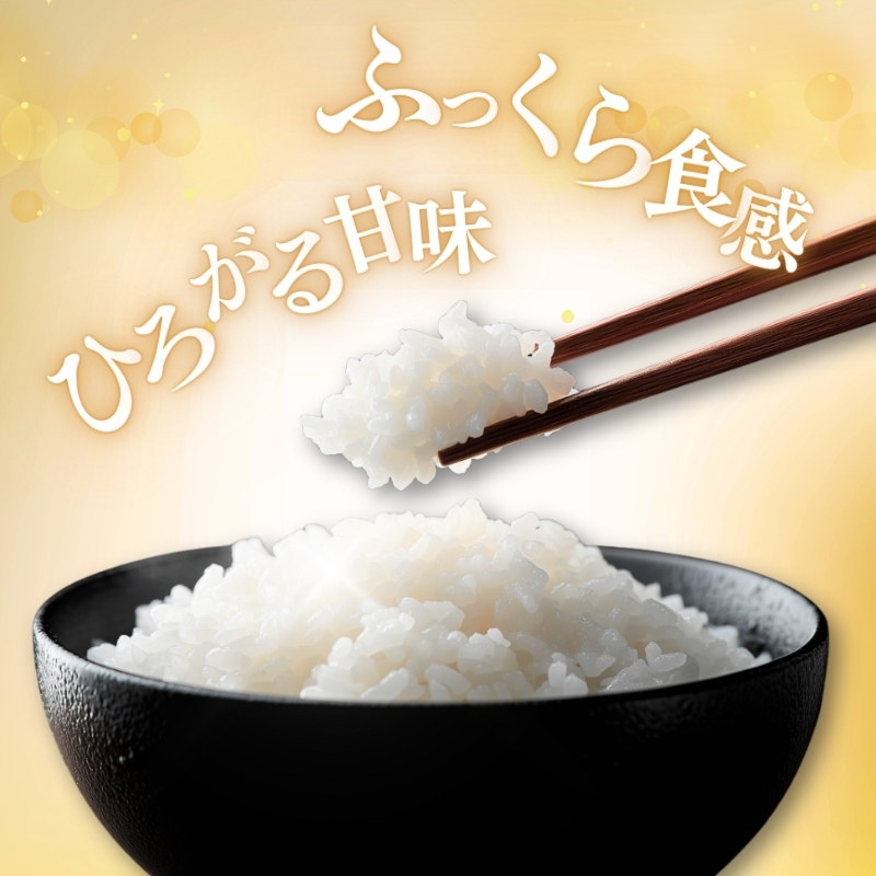 【7月中旬より配送】上越市産 新潟 コシヒカリ 5kg 3か月定期便 こしひかり お米 精米 米 ご飯 定期