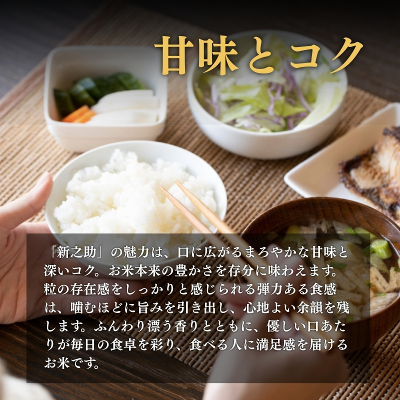 【9月下旬配送】上越市産 新潟 新之助 5kg しんのすけ お米 精米 米 ご飯