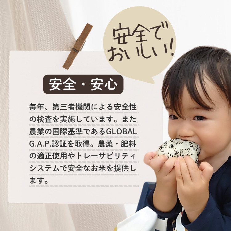 上越市産 新潟 特別米コシヒカリ 5kg×2 2か月定期便  上越市 精米 米 コメ こしひかり ブランド米