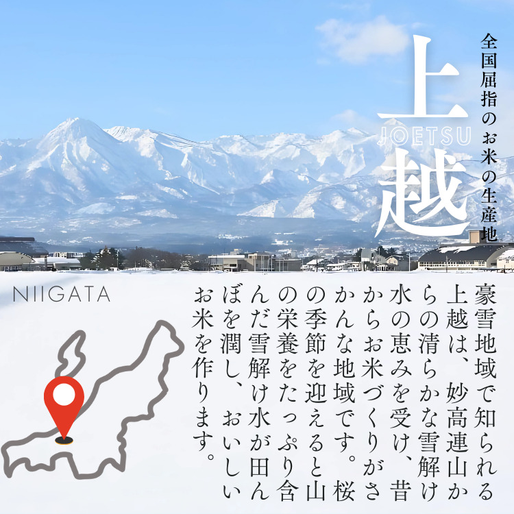 上越市産 新潟 特別米コシヒカリ　5kg×2 3か月定期便  上越市 精米 米 コメ こしひかり ブランド米