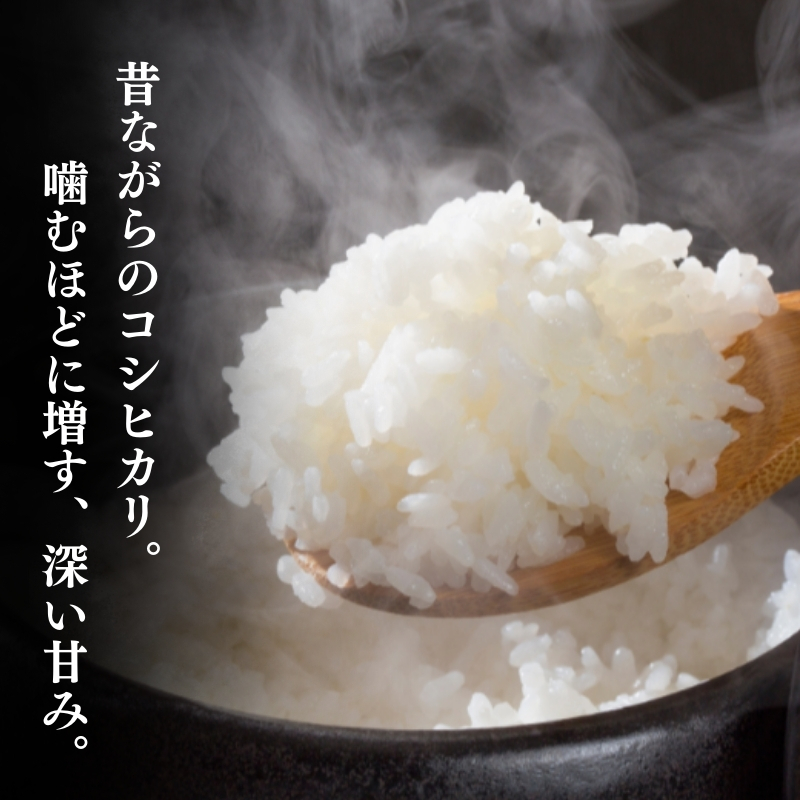 米 【令和7年産】 新潟県上越産 特別栽培米 コシヒカリ 【無洗米】 5kg 5キロ お米 こめ 白米 こしひかり