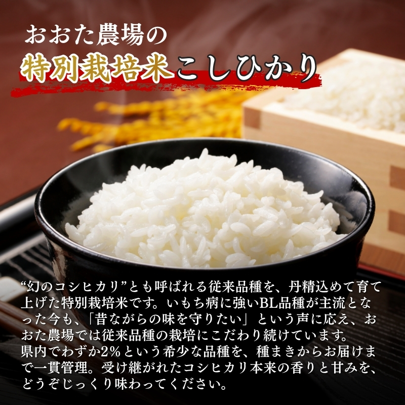 米 【令和7年産】 新潟県上越産 特別栽培米 コシヒカリ 【無洗米】 5kg 5キロ お米 こめ 白米 こしひかり