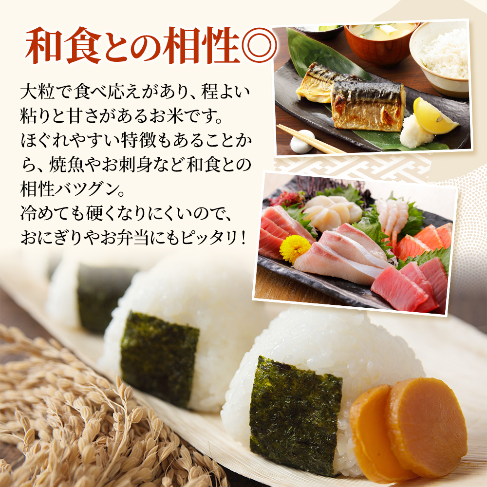 令和8年産 先行予約 新潟上越産 新之助 【12ヶ月連続お届け】 5kg×12回 60kg 60キロ しんのすけ シンノスケ 米 お米 こめ おすすめ 人気 ふるさと納税 新潟 新潟県産 にいがた 上越 上越産 定期便 送料無料