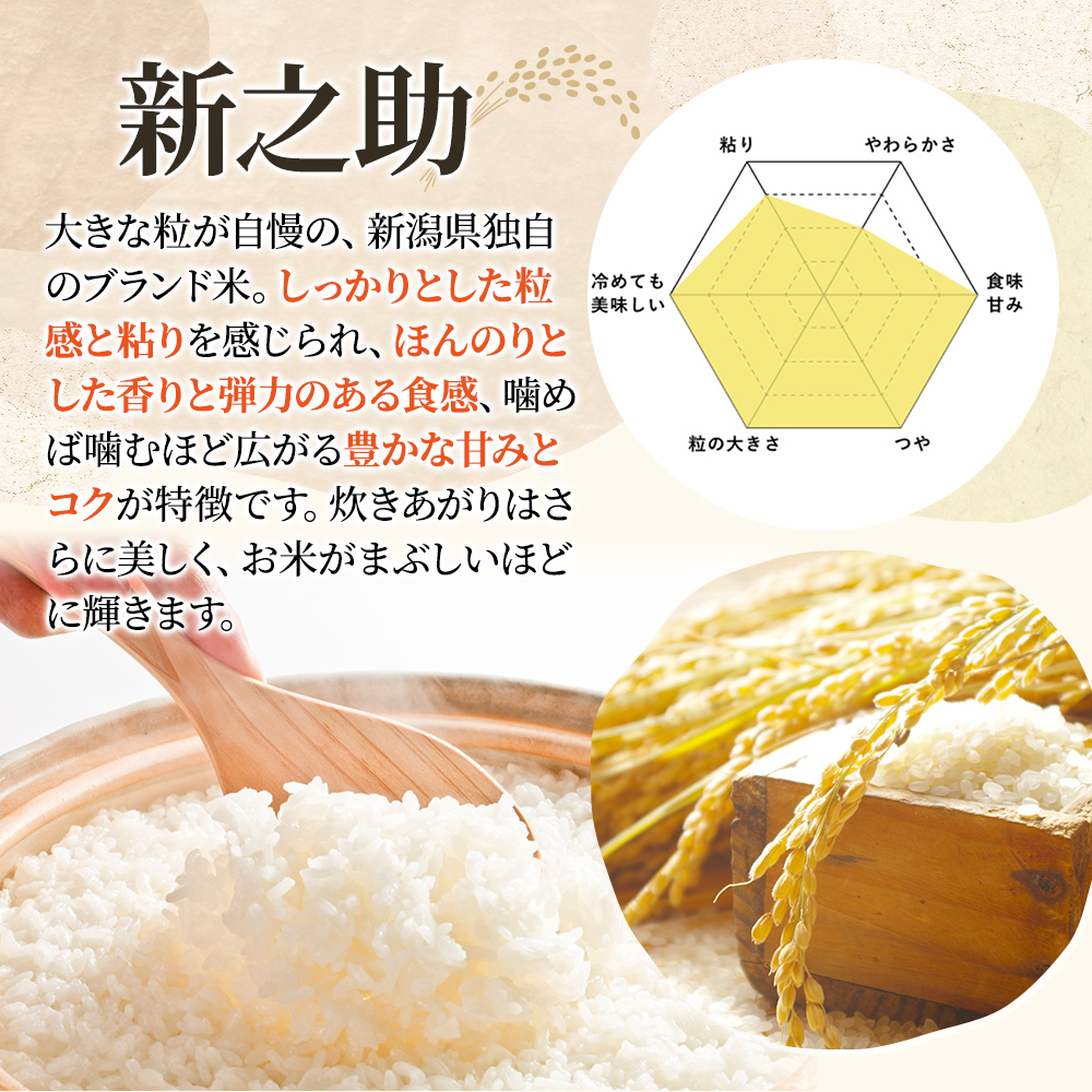令和8年産 先行予約 新潟上越産 新之助 【12ヶ月連続お届け】 10kg×12回 120kg 120キロ しんのすけ シンノスケ 米 お米 こめ おすすめ 人気 ふるさと納税 新潟 新潟県産 にいがた 上越 上越産 定期便 送料無料