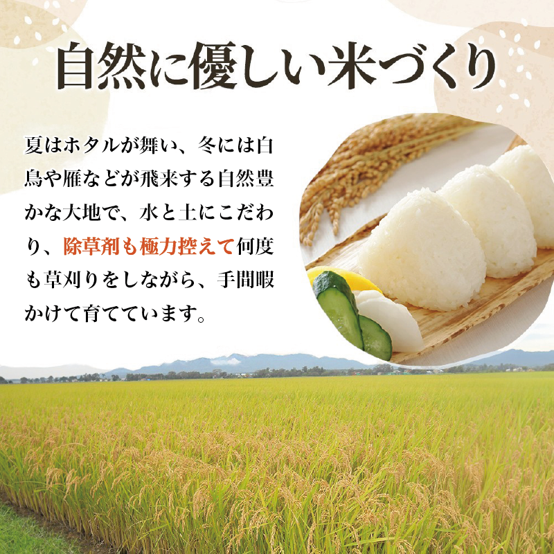 令和8年産 先行予約 新潟上越産 新之助 【12ヶ月連続お届け】 10kg×12回 120kg 120キロ しんのすけ シンノスケ 米 お米 こめ おすすめ 人気 ふるさと納税 新潟 新潟県産 にいがた 上越 上越産 定期便 送料無料