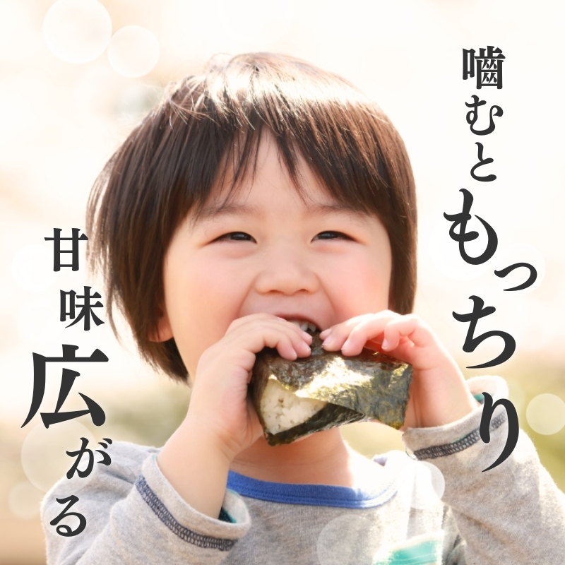 令和7年産 新潟県上越産こしひかり 精米 5kg 6か月定期便 上越市 米 コメ コシヒカリ