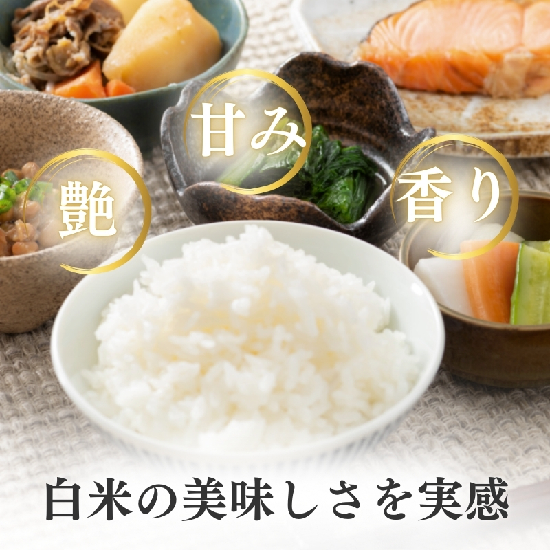 令和7年産 新潟県上越産こしひかり 精米 5kg 6か月定期便 上越市 米 コメ コシヒカリ