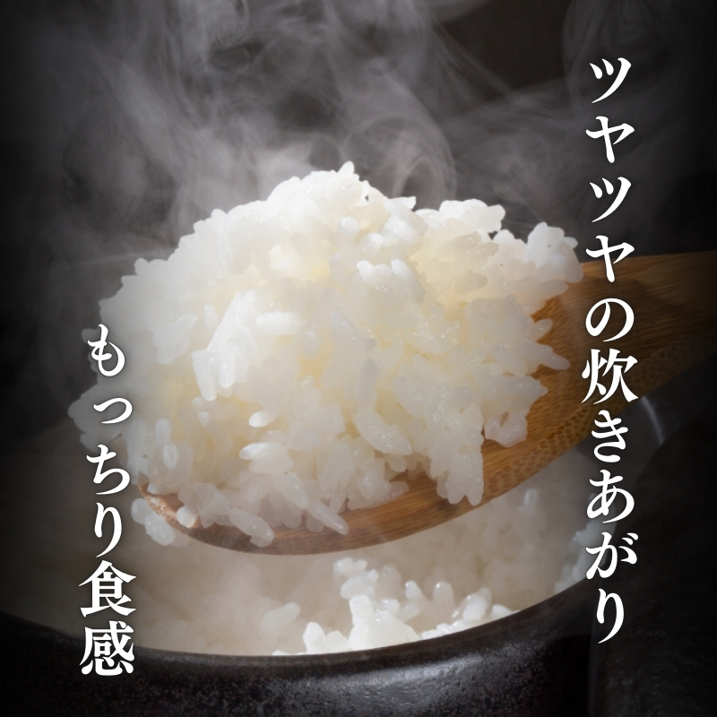 令和7年産 食味鑑定士厳選 新潟県上越柿崎区厳選 こしひかり 無洗米 10kg 6か月定期便 上越市 精米 米 コメ コシヒカリ ブランド米