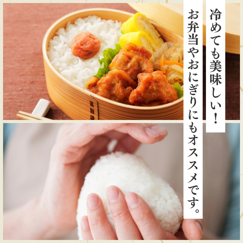 令和7年産 食味鑑定士厳選 新潟県上越柿崎区厳選 こしひかり 無洗米 10kg 6か月定期便 上越市 精米 米 コメ コシヒカリ ブランド米