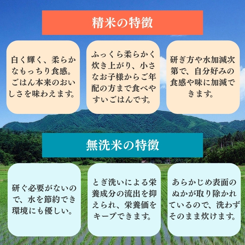 令和7年産 食味鑑定士厳選 新潟県上越柿崎区厳選 こしひかり 無洗米 30kg 6か月定期便 上越市 精米 米 コメ コシヒカリ ブランド米