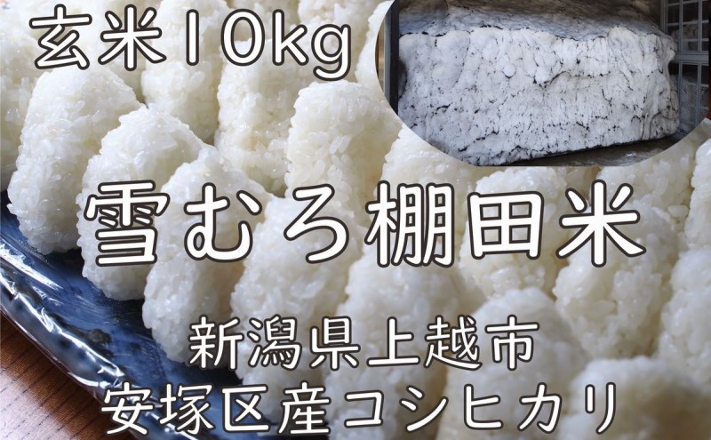 令和7年 新潟県産 棚田米 コシヒカリ 玄米 10kg 10キロ 雪中貯蔵 雪むろ こしひかり お米 こめ 新潟 上越 米 送料無料