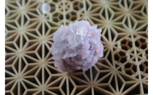 和菓子 越後高田 季節の上生菓子 ５種×２個