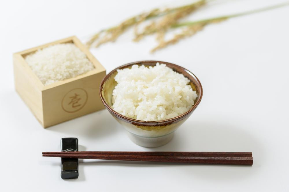 標高200mで育てた棚田米|令和7年産・新潟県上越市中郷産・従来種コシヒカリ精米5kg