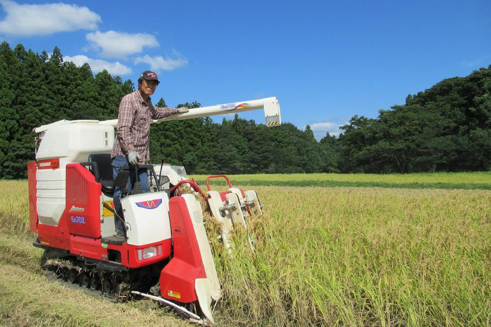 標高200mで育てた棚田米|令和7年産・新潟県上越産・従来種コシヒカリ精米10kg(5kg×2袋)