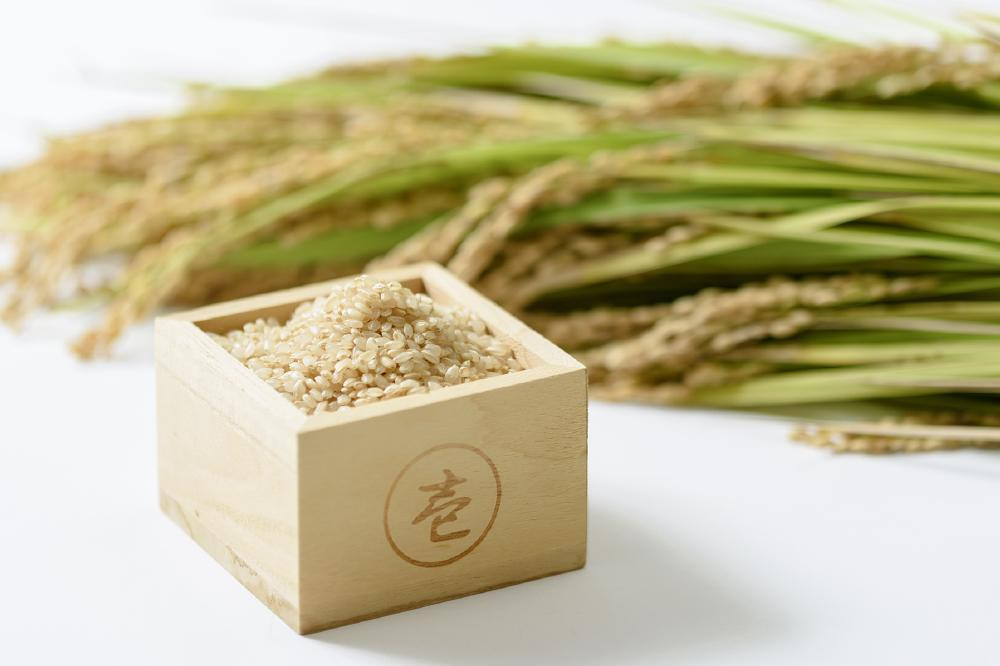 米 お米 百名山が育む水の米 つきあかり 玄米20kg 1袋 令和5年産 上越市中郷区岡沢産 農家直送 こめ 新潟