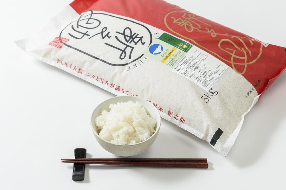 令和7年産/新潟県上越産ブランド米「新潟県認証特別栽培米・新之助」精米10kg
