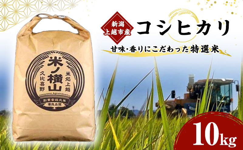 コシヒカリ 【令和5年産】 新潟上越市産コシヒカリ 10kg こしひかり 米 お米 こめ おすすめ ふるさと納税 新潟 新潟県産 にいがた 上越 上越産