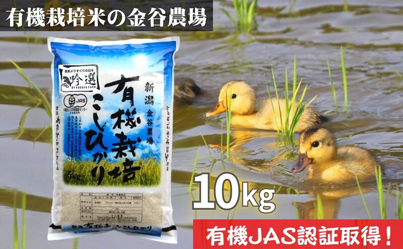 新潟県産JAS有機栽培米コシヒカリ 玄米10kg｜こしひかり コシヒカリ 米 お米 こめ おすすめ 人気 ふるさと納税 有機栽培 新潟 新潟県産 にいがた 上越 上越産