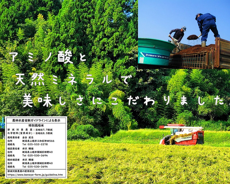 新潟県産特別栽培米コシヒカリ 白米10kg｜こしひかり コシヒカリ 米 お米 こめ おすすめ 人気 ふるさと納税 新潟 新潟県産 にいがた 上越 上越産