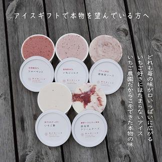 アイス 越後姫アイスギフト 12個 セット 越後姫 アイスクリーム ギフト 詰め合わせ 冷凍 新潟