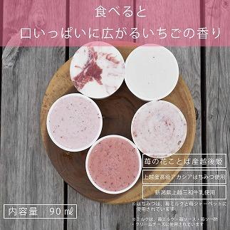 アイス 越後姫アイスギフト 12個 セット 越後姫 アイスクリーム ギフト 詰め合わせ 冷凍 新潟