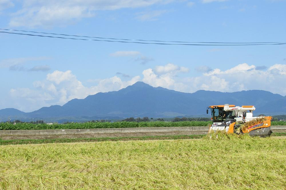 令和7年産 お米マイスターが育てた上越産みずほの輝き10kg(5kg×2)無洗米