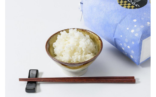 【50セット限定】令和5年産 新潟上越清里産 特別栽培米コシヒカリ10kg(2kg×5袋)玄米 こしひかり 米 上越産