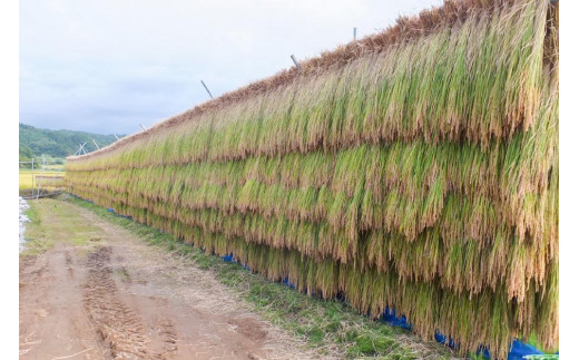 【50セット限定】令和5年産 新潟上越清里東戸野産 お米食べ比べギフトセットB 3種類合計3.8kg 白米 新潟