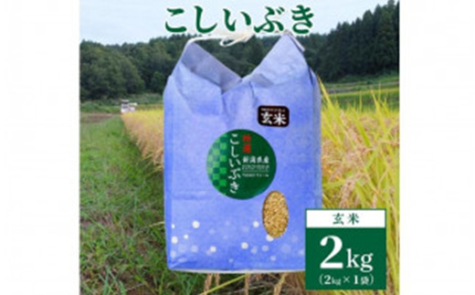 【数量限定】令和5年産　新潟上越清里東戸野産　新潟県限定品種こしいぶき2kg（2kg×1袋） 玄米 新潟 上越