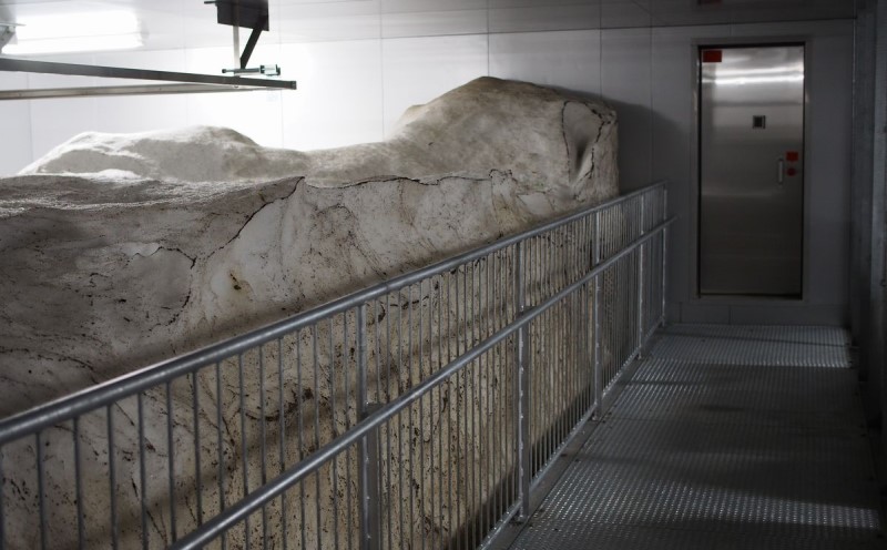 令和7年 新潟県産 棚田米 コシヒカリ 精白米 定期便 240kg 240キロ (20kg×12回) 雪中貯蔵 雪むろ こしひかり 精米 お米 こめ 新潟 上越 米 送料無料