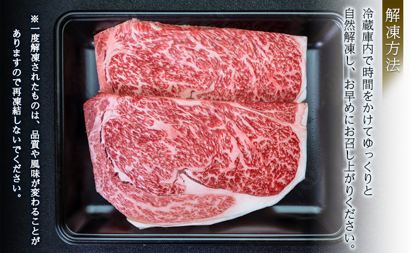 【にいがた和牛】くびき和牛　サーロインステーキ(250g×2枚)  上越市 牛肉 和牛