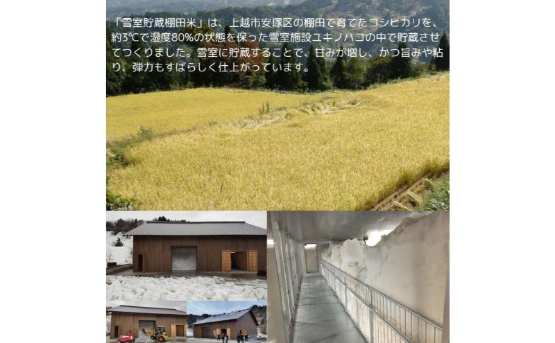 令和7年 新潟県産 コシヒカリ 雪むろ 棚田米 5kg 5キロ 白米 新米 明治大学ラグビー部 安塚 雪室 こめ 新潟 上越 上越市