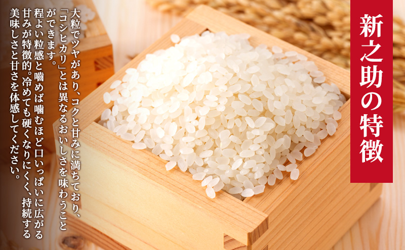【10月中旬より順次出荷】新潟県上越市産　特別栽培米 新之助 令和7年産 10kg（5kg×2袋）ご飯 おにぎり