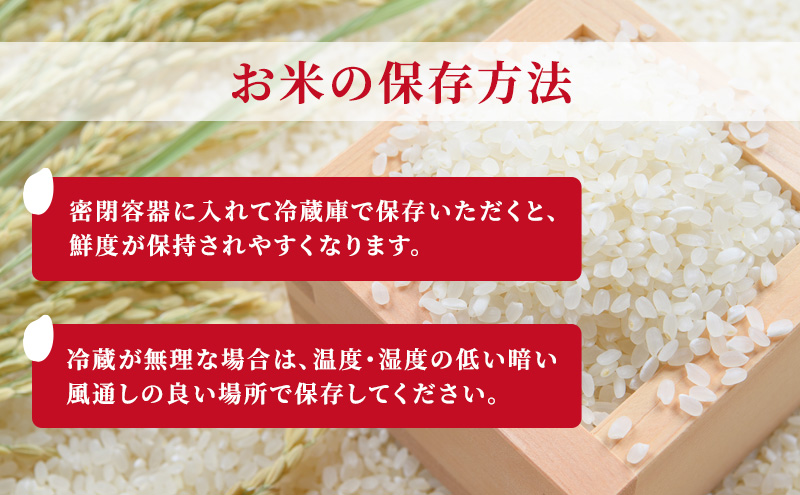 【10月中旬より順次出荷】新潟県上越市産　特別栽培米 新之助 令和7年産 10kg（5kg×2袋）ご飯 おにぎり
