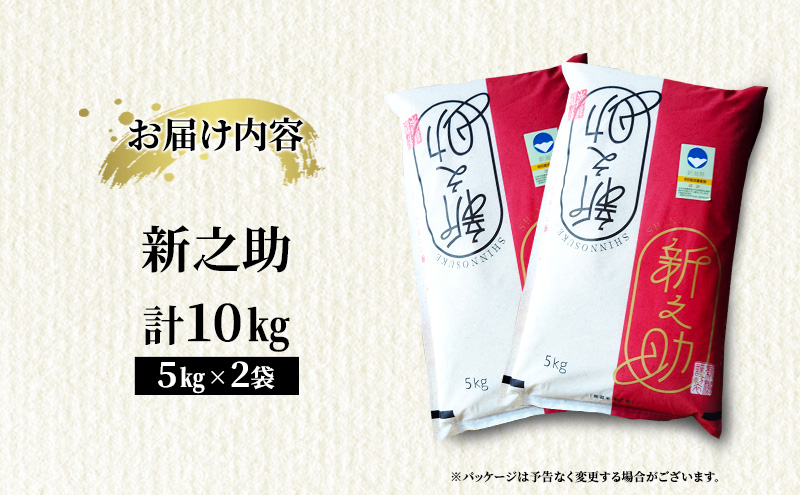 【10月中旬より順次出荷】新潟県上越市産　特別栽培米 新之助 令和7年産 10kg（5kg×2袋）ご飯 おにぎり