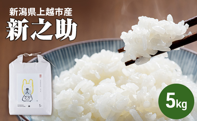 新米予約 令和7年 新潟県産 新之助 5kg 5キロ 上越市柿崎産 白米 精米 送料無料 KISHIDA RICE FARM お米のお山のふもとから 岸田米 新之助 (ぼくらのMaiMaiMaiバージョン)