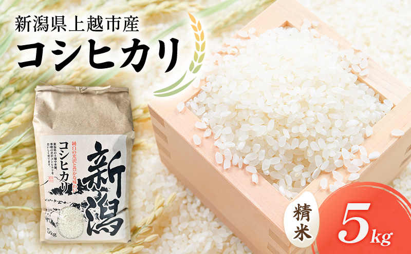 米 【先行予約】上越頸城産 産新品種「みずほの輝き」精米5kg×2