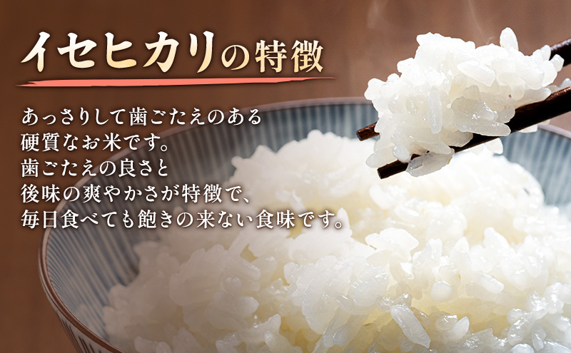 新米 令和7年 新潟県上越市産 奇跡のお米 イセヒカリ 5kg 5キロ 米 お米 いせひかり 山本農園 ご飯 精米 新潟 上越