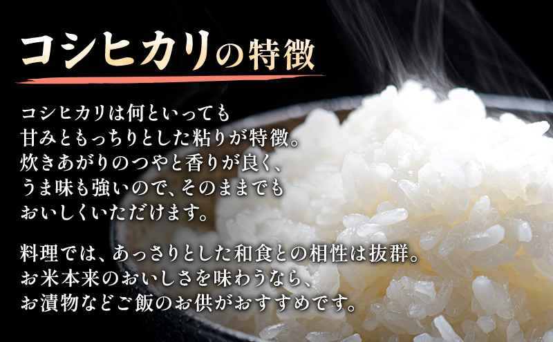 新米 令和7年 新潟県上越市産 奇跡の米・イセヒカリ 2kg と 特別栽培米コシヒカリ 2kg 食べ比べセット 米 お米 こしひかり 山本農園 ご飯 精米 新潟 上越