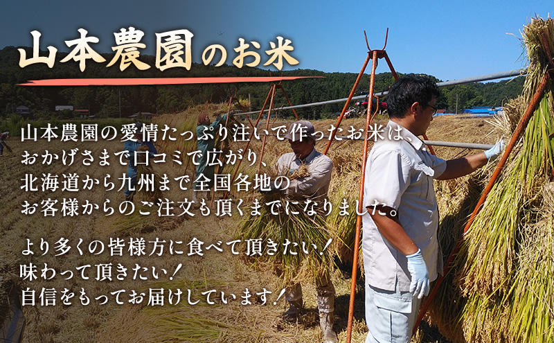 新米 令和7年 新潟県上越市産 奇跡の米・イセヒカリ 2kg と 特別栽培米コシヒカリ 2kg 食べ比べセット 米 お米 こしひかり 山本農園 ご飯 精米 新潟 上越