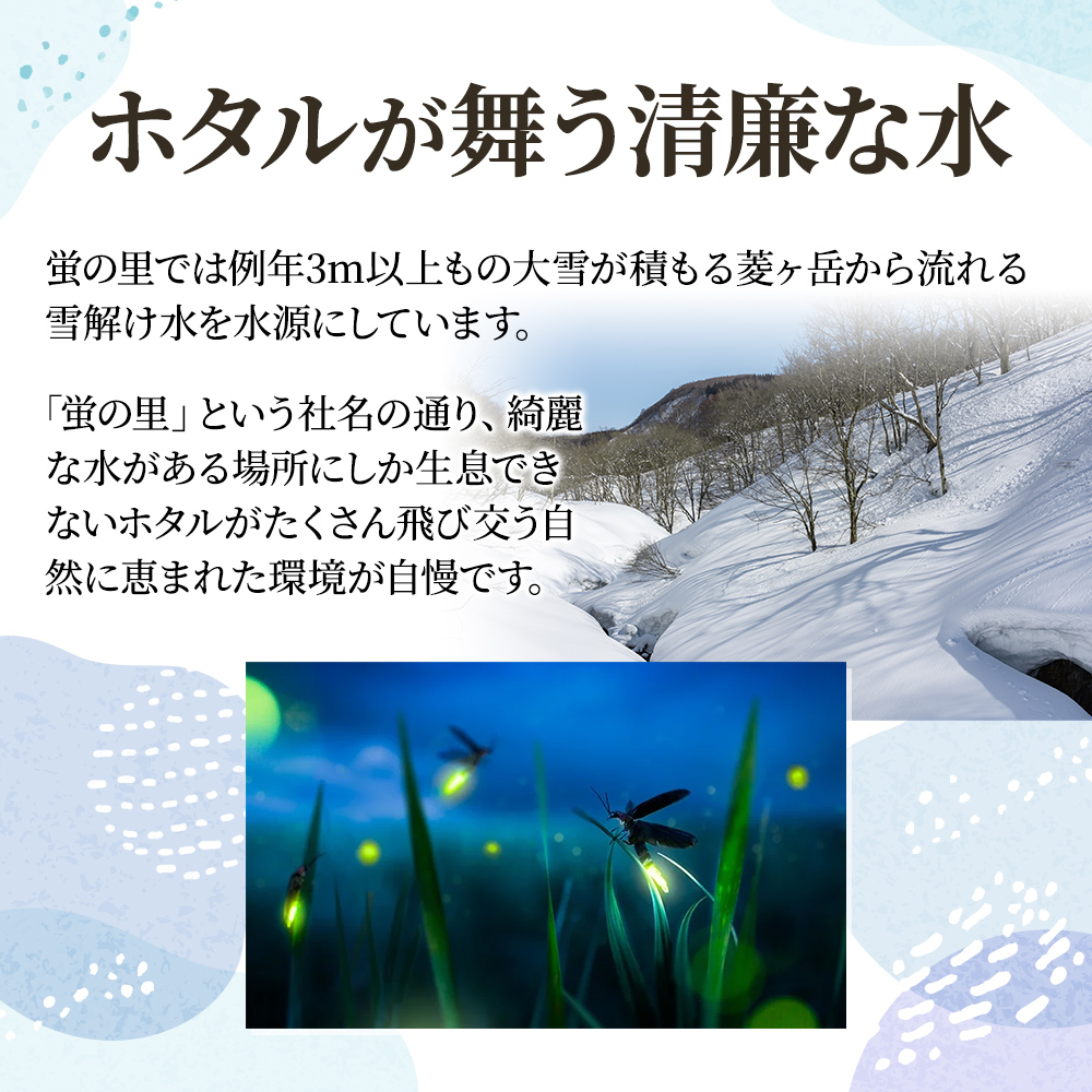【訳あり】3月発送分 新潟 にじのきらめき 5kg 上越市 精米 米 新潟県 おすすめ 限定 虹のきらめき