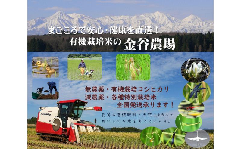 令和6年産 新潟県産アイガモ農法JAS有機栽培米こがねもち 白米3kg もち米 オーガニック 新潟