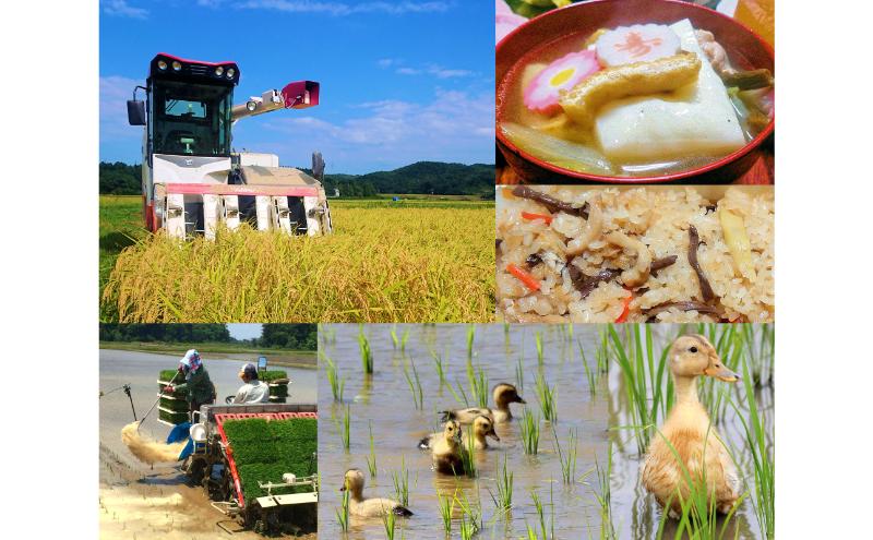 令和6年産 新潟県産アイガモ農法JAS有機栽培米こがねもち 白米3kg もち米 オーガニック 新潟