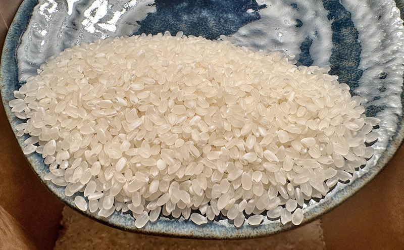 新米 令和7年 新潟県上越市産 従来 コシヒカリ 精米済5kg 5キロ こしひかり お米 米 精米 送料無料