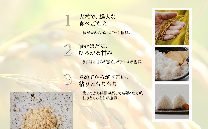 新米 令和7年 新潟県上越市産 ゆうだい21 5kg 5キロ 奇跡のお米 宇都宮大学生まれ 中郷 やまざきふぁーむ 送料無料