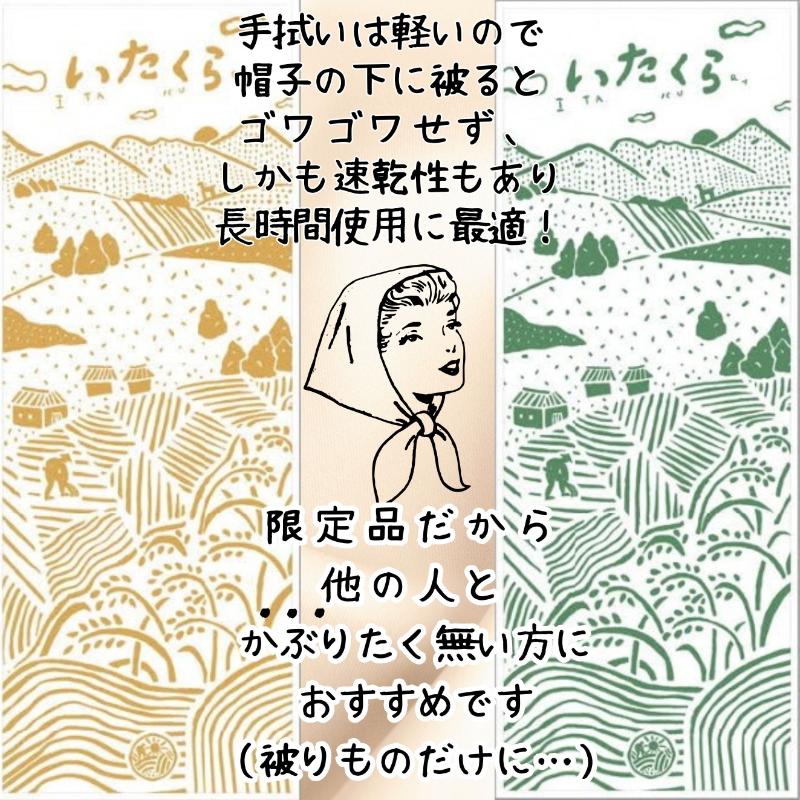 いたくらいいとこてぬぐい（2本セット）手ぬぐい お土産 上越市 雑貨 タオル