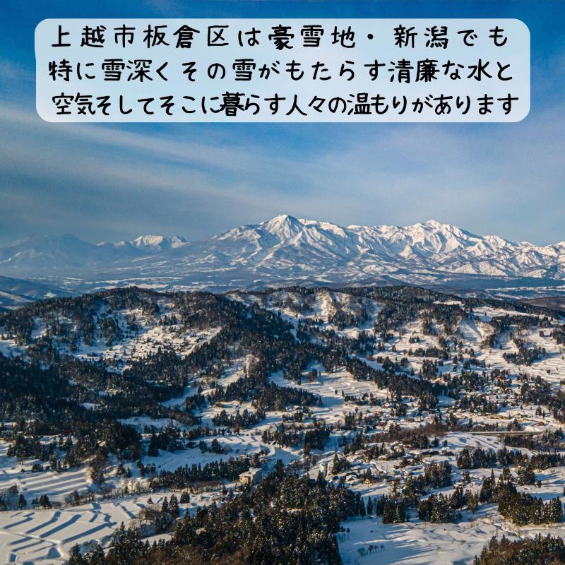 いたくらいいとこてぬぐい（2本セット）手ぬぐい お土産 上越市 雑貨 タオル