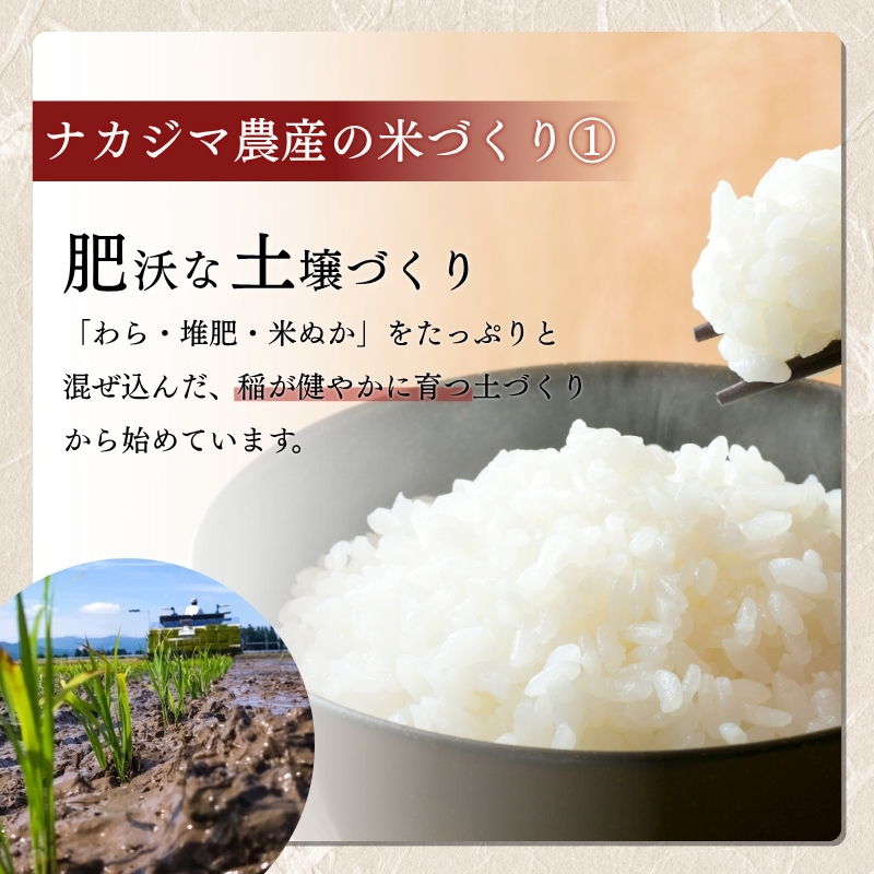 令和7年産 5kg 米 新潟県産 コシヒカリ  精白米 謙信秘蔵米  お米  おすすめ 新潟 新潟米 上越 上越産 上越米 ふるさと納税 上杉謙信 人気
